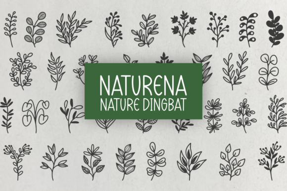 Naturena: A Botanical Sketch Dingbat Font for Creative Branding Projects