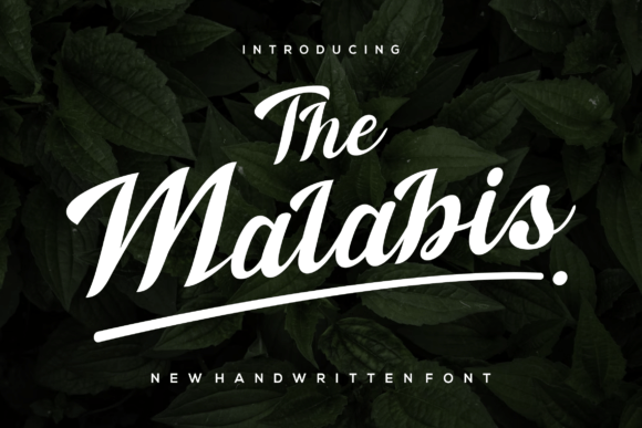 The Malabis: A Script Handwritten Font for Elegant Editorial Design
